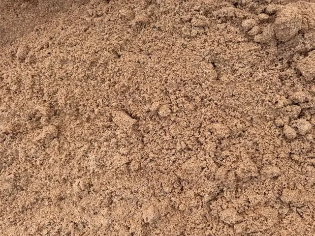 Mainsand gewaschen